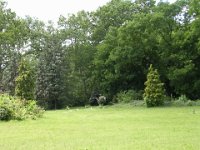 27-0 Parcella - Magyar Tudományos Akadémia